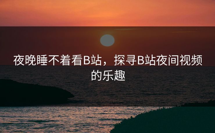 夜晚睡不着看B站，探寻B站夜间视频的乐趣