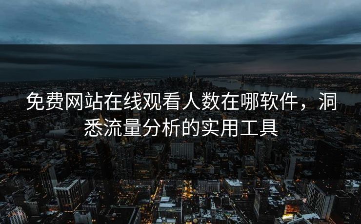 免费网站在线观看人数在哪软件，洞悉流量分析的实用工具