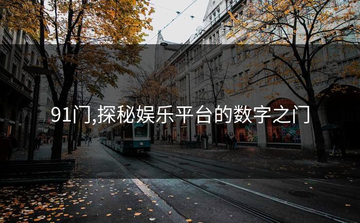 91门,探秘娱乐平台的数字之门
