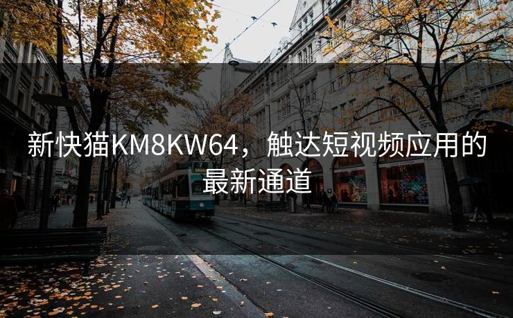 新快猫KM8KW64，触达短视频应用的最新通道