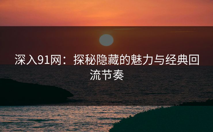 深入91网：探秘隐藏的魅力与经典回流节奏